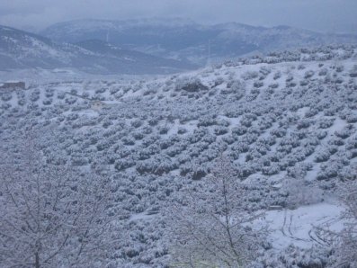 Jaén nevado 1